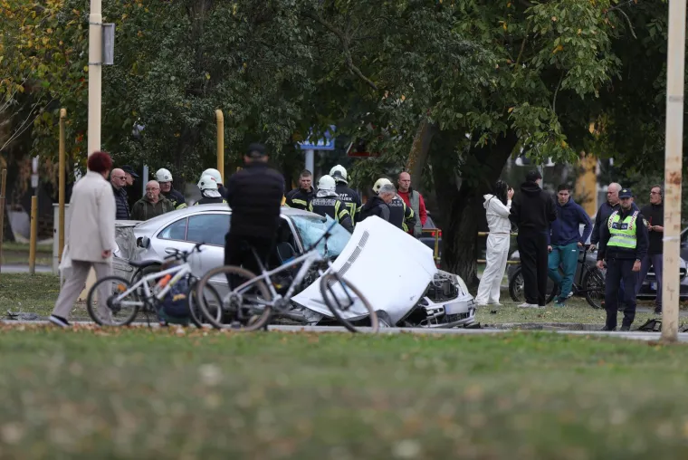 Dva Mercedesa smrskana nakon sudara: Stradao pas, vatrogasci izvlačili ženu