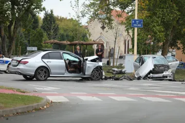 Dva Mercedesa smrskana nakon sudara: Stradao pas, vatrogasci izvlačili ženu