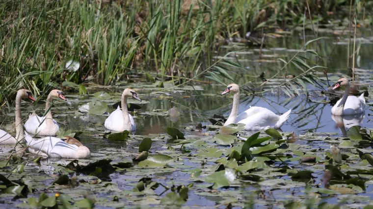 [KVIZ] Samo će pravi znalci rasturiti ova pitanja o hrvatskim parkovima prirode