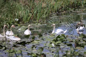 [KVIZ] Samo će pravi znalci rasturiti ova pitanja o hrvatskim parkovima prirode