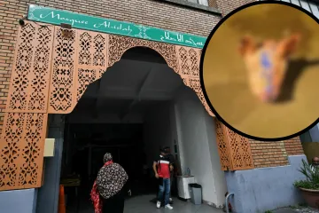 Obavještajci naredili uhićenje 11 Srba radi svinjskih glava ispred džamije u Parizu