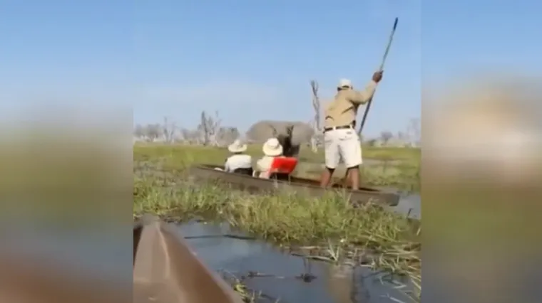 Safari iz noćne more: Slonica napala turiste, oni završili u vodi punoj krokodila