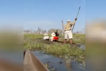 Safari iz noćne more: Slonica napala turiste, oni završili u vodi punoj krokodila