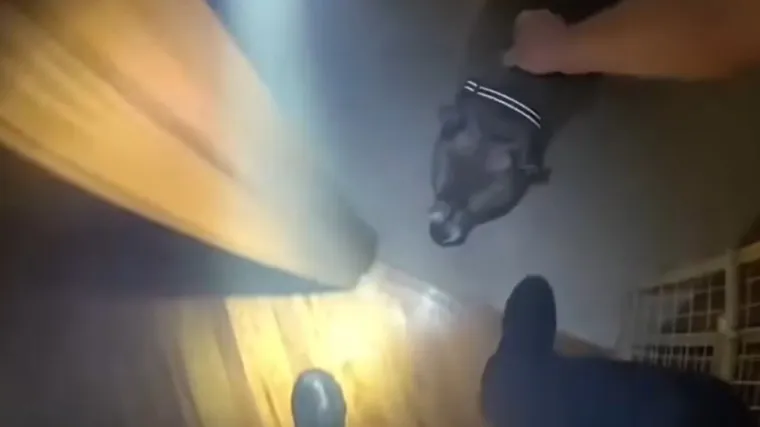 Policajac u zapaljenoj kući zatekao staforda, nije mu bilo na kraj pameti što će pas najprije učiniti