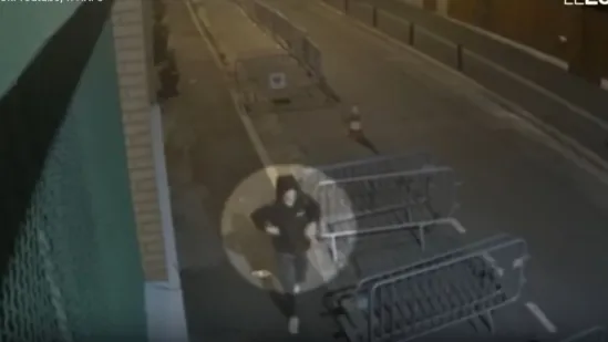 Srbi, džamije i svinjske glave: Jesu li jedanaestoricu obučavale strane službe?