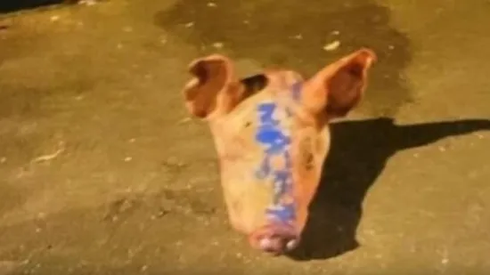 Uhićeno 11 Srba zbog svinjskih glava ispred džamija u Parizu