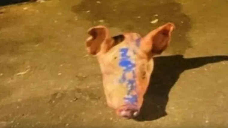 Uhićeno 11 Srba zbog svinjskih glava ispred džamija u Parizu