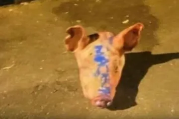 Uhićeno 11 Srba zbog svinjskih glava ispred džamija u Parizu