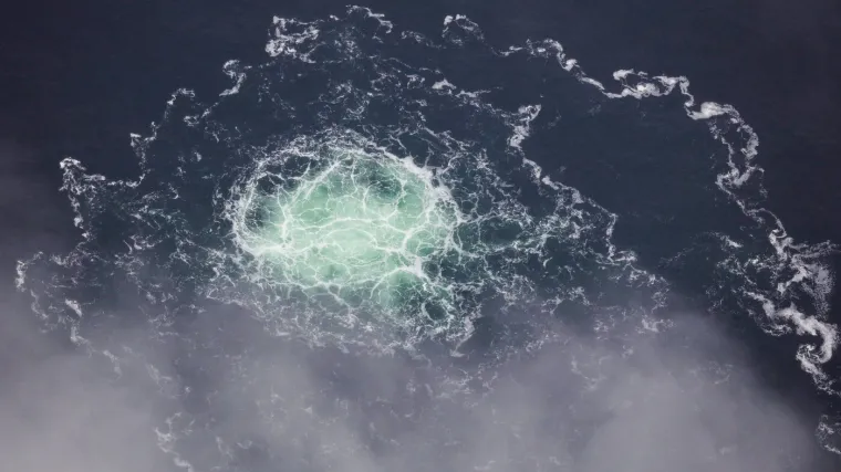 Njemačka traži izručenje Volodimira Z; Njegov odvjetnik kaže: 'Nijedan Ukrajinac ne bi smio odgovarati...'