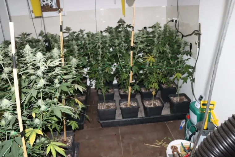 Ma kakav Breaking Bad, ovo je razina iznad: Pogledajte što je Bosanac u Dugom Selu imao doma...