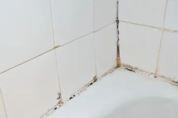 Spriječite plijesan u kupaonici: Stručnjaci otkrivaju ključnu naviku koju mnogi zanemaruju