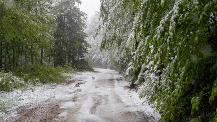Meteorologinja otkriva kakvo nas vrijeme čeka: 'Može zalepršati i poneka pahulja'
