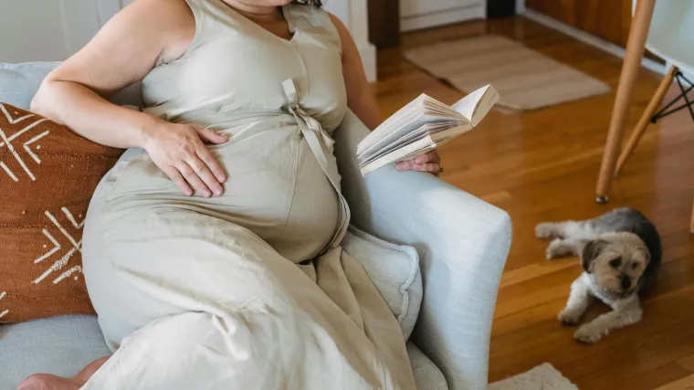 Znanstvenici pobijaju kriva uvjerenja: Istraživanje pokazalo da brojni mitovi o trudnoći i dalje žive