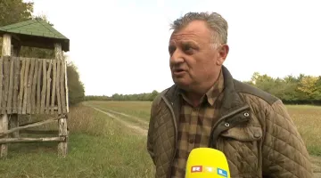 Lovci u slavonskim šumama na opasnom zadatku: 'Čak i ranjena može ubiti'