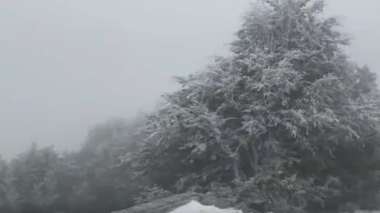 Hoće li ove godine uopće biti jeseni? 'To nije normalno, baš je došlo naglo, odjednom!'