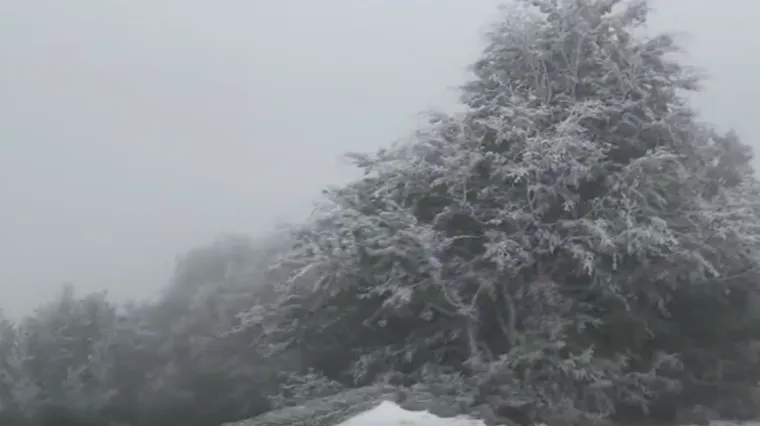 Hoće li ove godine uopće biti jeseni? 'To nije normalno, baš je došlo naglo, odjednom!'