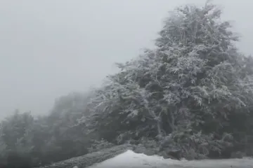 Hoće li ove godine uopće biti jeseni? 'To nije normalno, baš je došlo naglo, odjednom!'