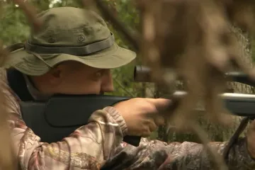 Na meti Slavonaca opaka i divlja životinja, preplavila je lovišta: 'Čak i ranjena može ubiti'