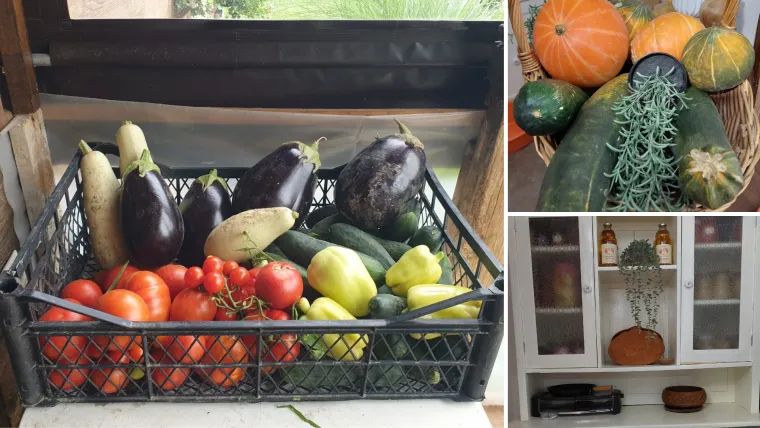 Zaboravite kupovno! Donosimo Milkin recept za zimnicu s kojim nećete pogriješiti!