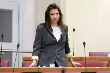 Napokon objavljeno: Bivša saborska zastupnica objavila pjesmu, poslušajte ju