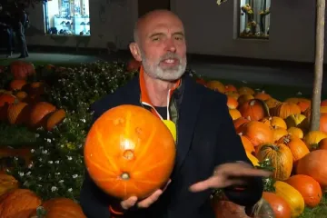 Lete buče po ulicama Ivanić Grada, ima ih čak 18 tona: Gradonačelnik otkrio &scaron;to su sve spremili za vikend