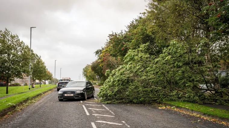 Oluja čupala stabla i zatvorila škole: Jedna osoba poginula, skoro 200 tisuća kućanstva ostalo bez struje