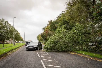 Oluja čupala stabla i zatvorila škole: Jedna osoba poginula, skoro 200 tisuća kućanstva ostalo bez struje