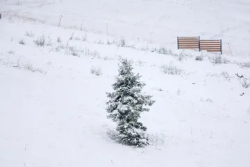 Pogledajte nestvarne prizore prvog snijega ove sezone: Na ovoj planini zima uvijek dođe najranije