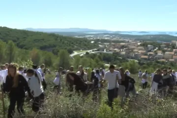 Kramp, lašun ili mašklin: Mladi volonteri i tisuće sadnica pretvaraju opožarenu površinu u zeleni krajolik