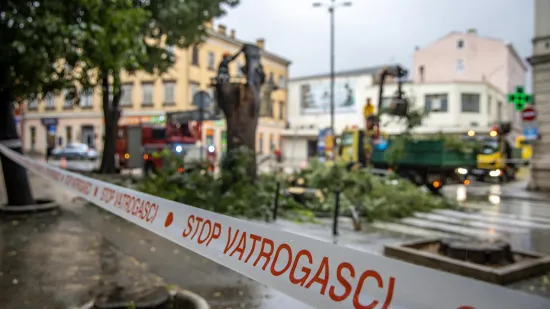 Prvo jugo pa orkanska bura, u Istri padali telefonski stupovi! Više dojava o granama na cesti