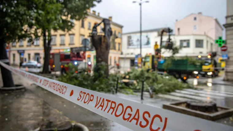 Prvo jugo pa orkanska bura, u Istri padali telefonski stupovi! Više dojava o granama na cesti