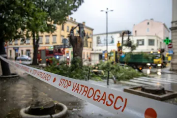 Prvo jugo pa orkanska bura, u Istri padali telefonski stupovi! Više dojava o granama na cesti