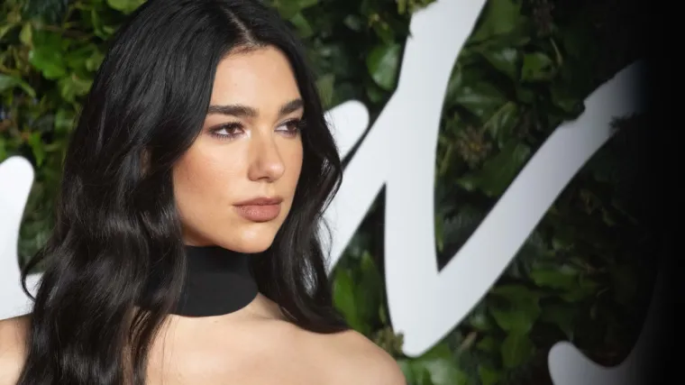 Snimka s koncerta Due Lipe šokirala javnost: Zaštitari odmah reagirali