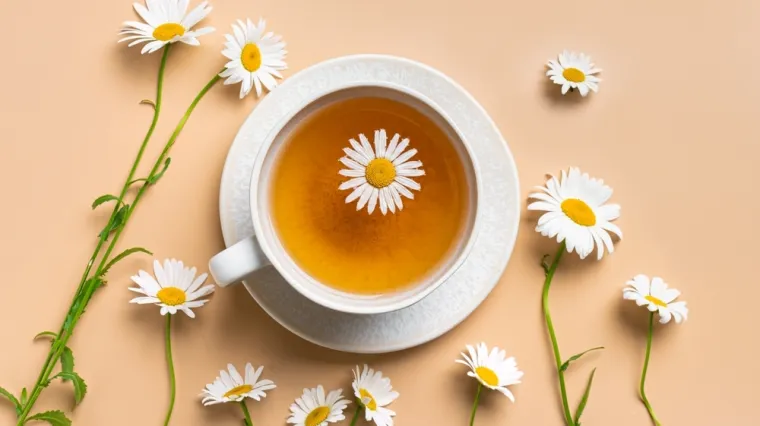 [KVIZ] Koliko znate o ljekovitim biljkama i njihovim svojstvima?