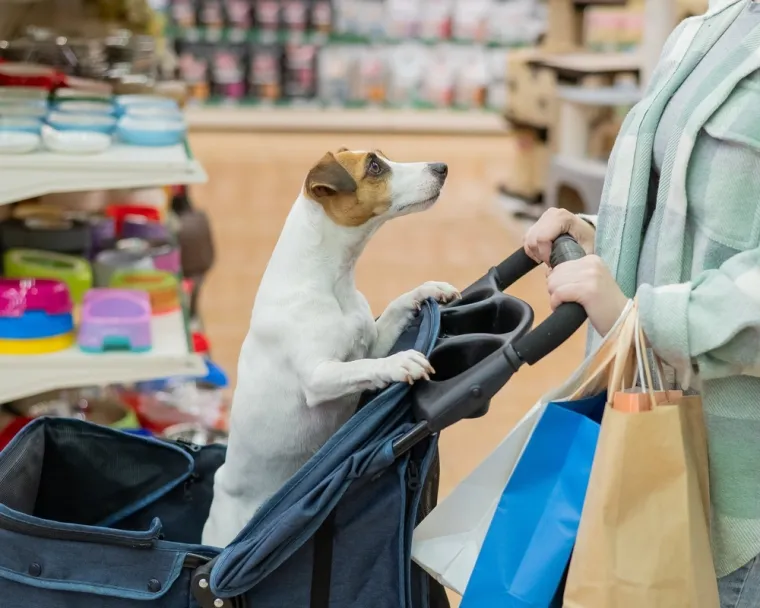 Super proizvodi koje svi trebamo za samo 1 euro: Pronašli smo gdje se kupovina ovoga tjedna najviše isplati