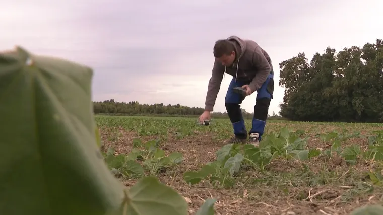 Hrvatska poljoprivreda pred prekretnicom? 'Niču poljoprivrednici-biznismeni'