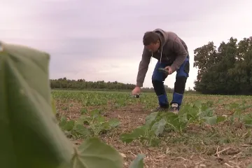 Hrvatska poljoprivreda pred prekretnicom? 'Niču poljoprivrednici-biznismeni'