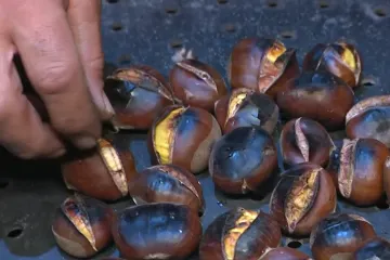 Mjerice kestena mogle bi ići i do 10 eura! Prodavač priznaje: 'Ma to je previše'