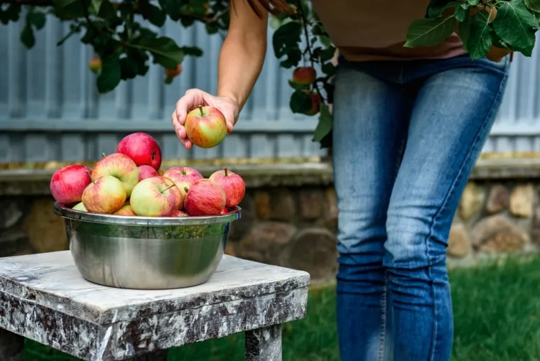 Od putovanja do posjete ukletoj kući: Evo koje jesenske aktivnosti preporučuje vaš znak