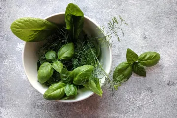 Trajat će i do godinu dana: Zamrznite ovih 20 začinskih biljaka uz savjete stručnjaka