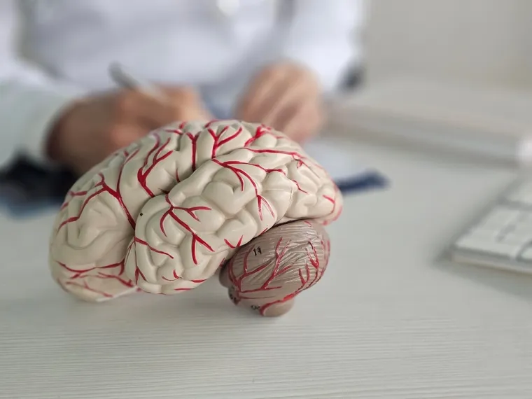 Znanstvenici otkrili: Oblik mozga može predvidjeti rizik od demencije godinama unaprijed