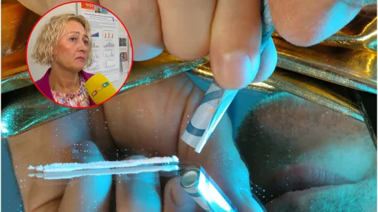 Gotovo polovica hrvatskih srednjoškolaca pije alkohol, dr. Ćavar: 'Mnogi se trijezne kokainom'