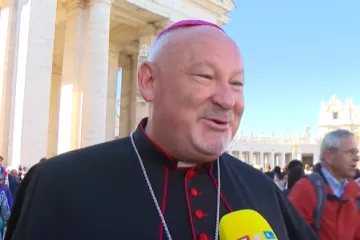 Biskup Petanjak oduševljen papom: 'Očekivali smo da će samo mahnuti, a on je došao svima'