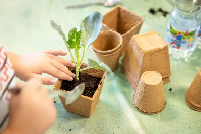 Lidl i Mliječni Zub u novom ciklusu „Abecede zdravog odrastanja“ s fokusom na održivu prehranu i zaštitu okoliša