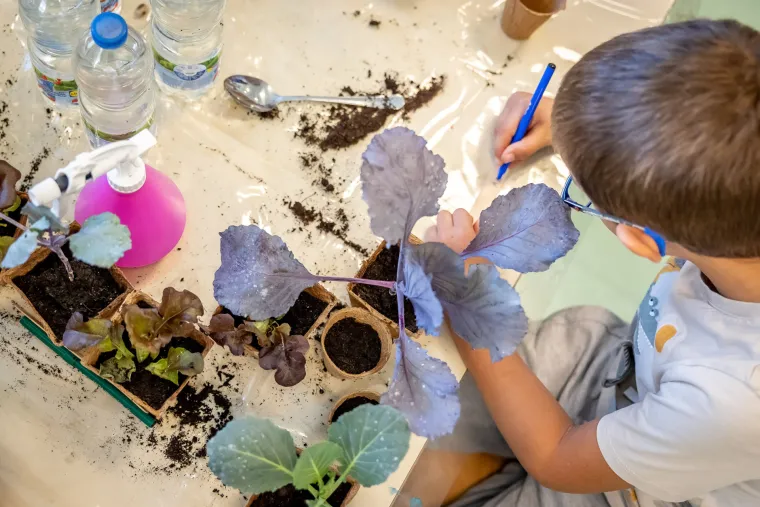 Lidl i Mliječni Zub u novom ciklusu „Abecede zdravog odrastanja“ s fokusom na održivu prehranu i zaštitu okoliša