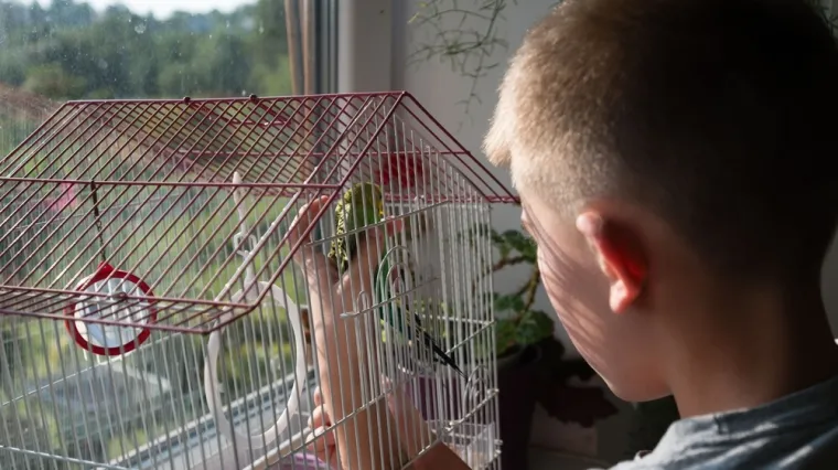 Dječak (13) završio u bolnici s teškom dijagnozom: Uzrok? Kućni ljubimac