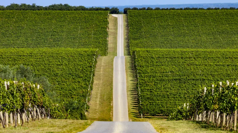 [KVIZ] Samo će Slavonci znati sve o svome kraju