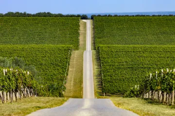 [KVIZ] Samo će Slavonci znati sve o svome kraju