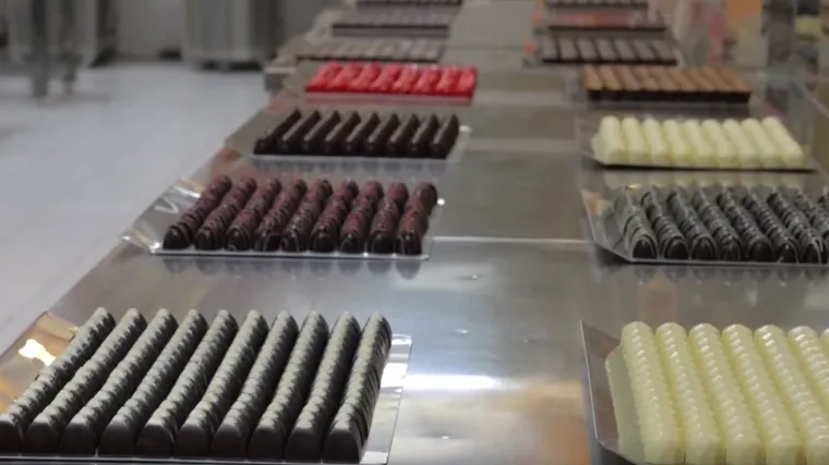 Cijena kakaovca drastično pala, čokolada nikad skuplja! Stručnjakinja objasnila što se događa