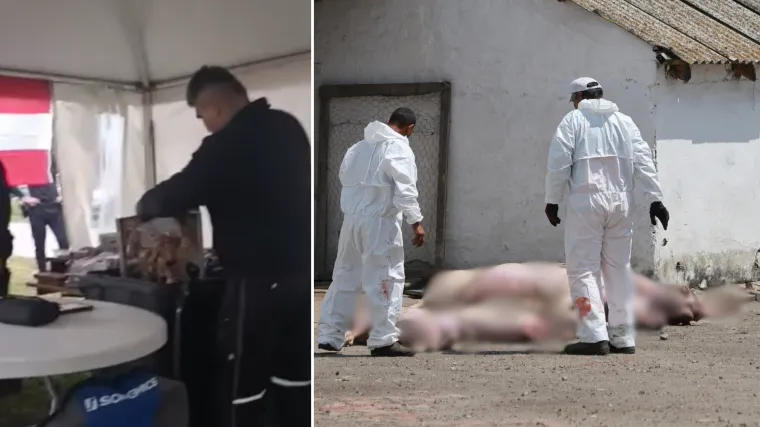 Otkazana popularna Pečenkijada, Slavonci bijesni: 'Oduzeli su pečeno prase, ovo je dušmanska represija'